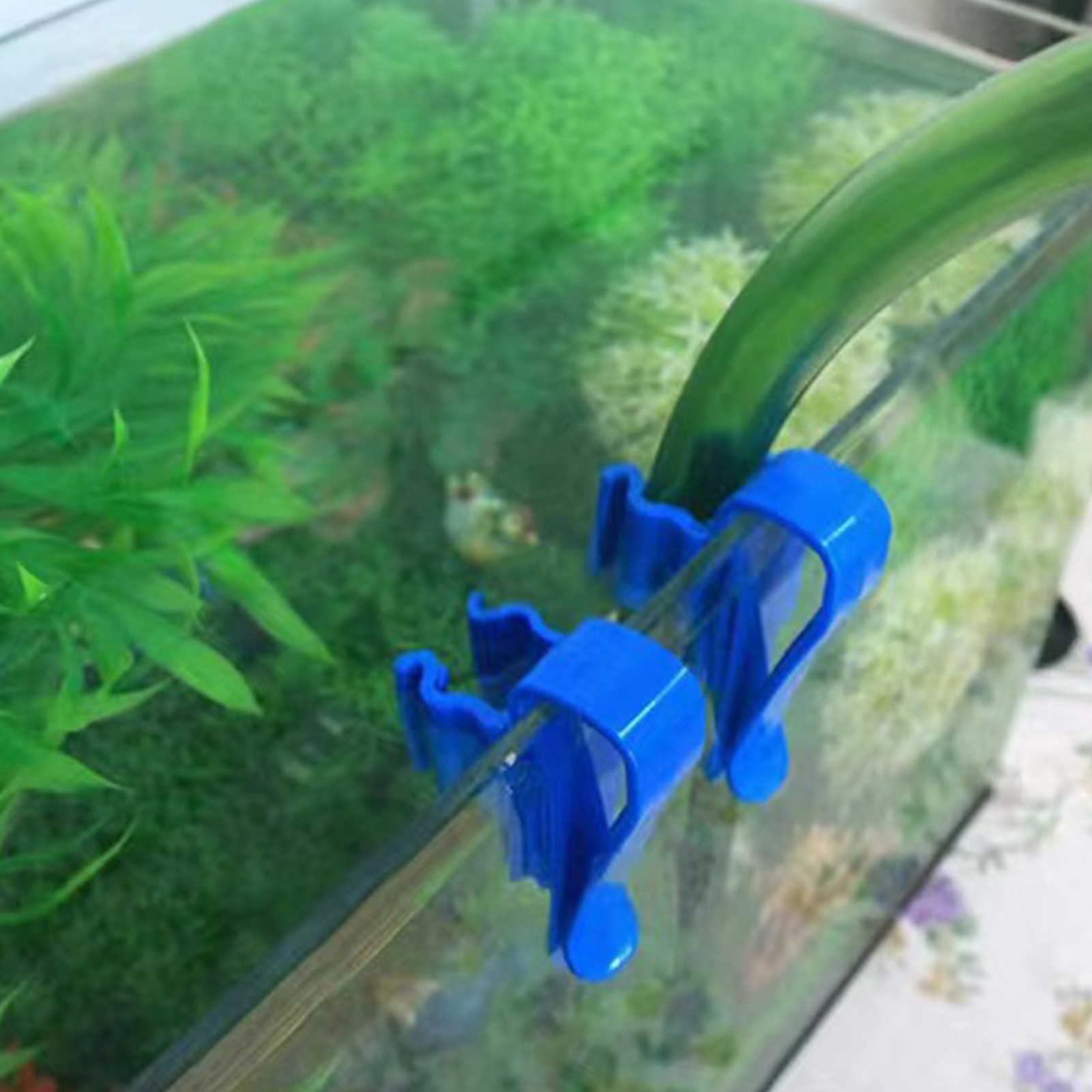 Aquarium Tube Holder Clip Fish - Plastic Pipe Clip 리뷰 및 가격